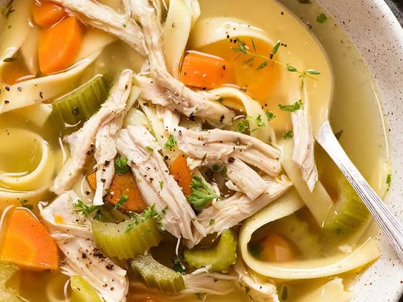 A bowl of chicken noodle soup with shredded chicken, wide egg noodles, carrot and celery.